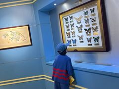 -上海昆虫博物馆