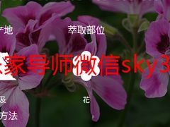 -美乐家健康生活馆(北京旗舰店)