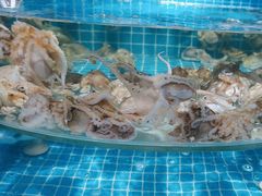 -蓝珊甄选海鲜自助·火锅大排档(近阿那亚店)