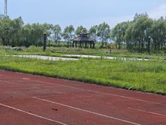 -呼兰河口湿地公园