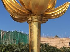 -金莲花广场