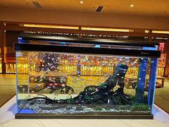 -大江户·温泉洗浴(浑南店)