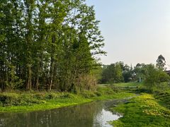 -桤木河湿地公园