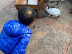 -柳州市动物园
