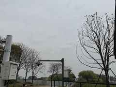 -贡湖湾湿地公园