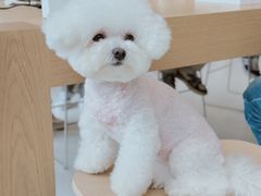 -Apple零售店(成都太古里店)