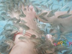 -郑州银基黄帝宫御温泉