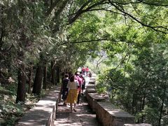 -碓臼峪自然风景区