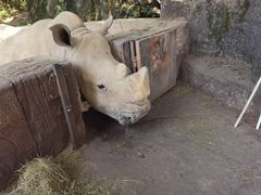 -杭州野生动物世界