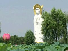 -白洋淀景区