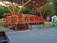 -东平国家森林公园