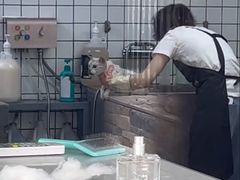 -贝贝宠物乐园(常青花园店)