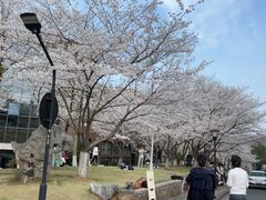 -浙江大学(玉泉校区)