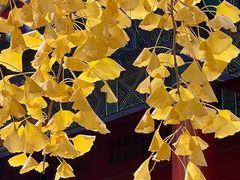 -承恩寺