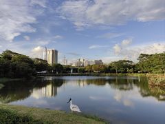 -福田红树林生态公园
