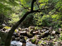 -红崖峡谷景区