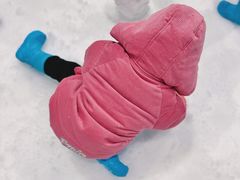 -Mr·Kuma酷么先生雪之乐园