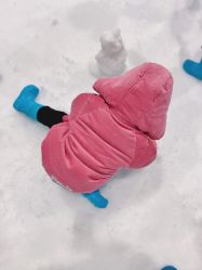 -Mr·Kuma酷么先生雪之乐园
