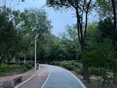 -绿堤公园