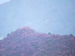 -少华山国家森林公园