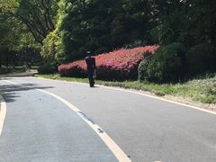 -新洲生态园