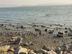 -深圳湾公园(南山区)