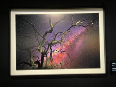 -罗红摄影艺术馆