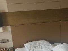 -扬州绿地铂骊酒店