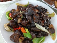 -庆岭迎宾园正宗活鱼馆