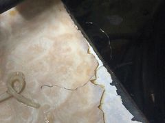 -华威达牛庄(黄埔大道西店)