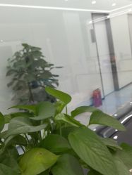 -悟空祛痘