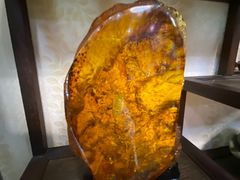 -伊帆食府·青海地方特色美食