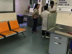 -动物缘宠物医院·骨科·猫科(西二环店)