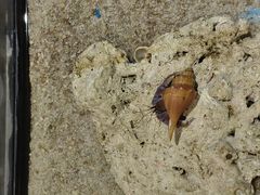 -绿色星球动物主题公园