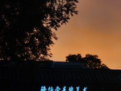 -隆德堂青瓷艺术·茶馆(故宫店)