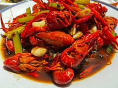 -杨氏青龙虾·羊蝎子(托乐嘉店)