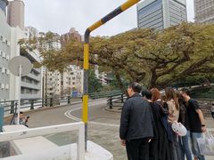 -香港大学