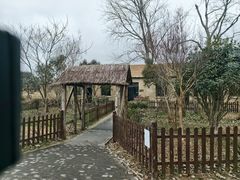 -盐城丹顶鹤湿地生态旅游区