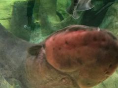 -福州罗源湾海洋世界旅游区