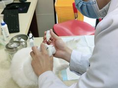 -艾贝尔宠物诊疗