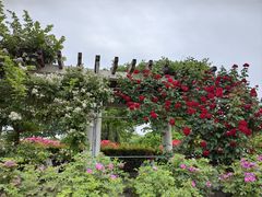 -郑州植物园