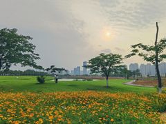 -洋湖国家湿地公园