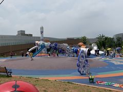 -九龙湖公园