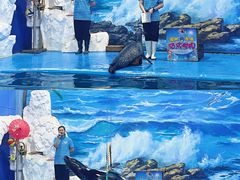 -左海海底世界