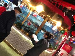 -蜀滋香鲜鱼美蛙火锅(339店)