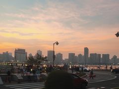 -野狸岛