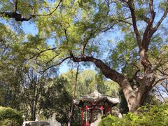 -国家植物园南园