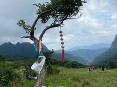 -秦岭风景区