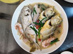 -新楚记