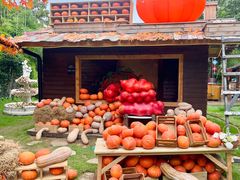 -HERRE·FARM 赫尔露营农场·团建聚会包场